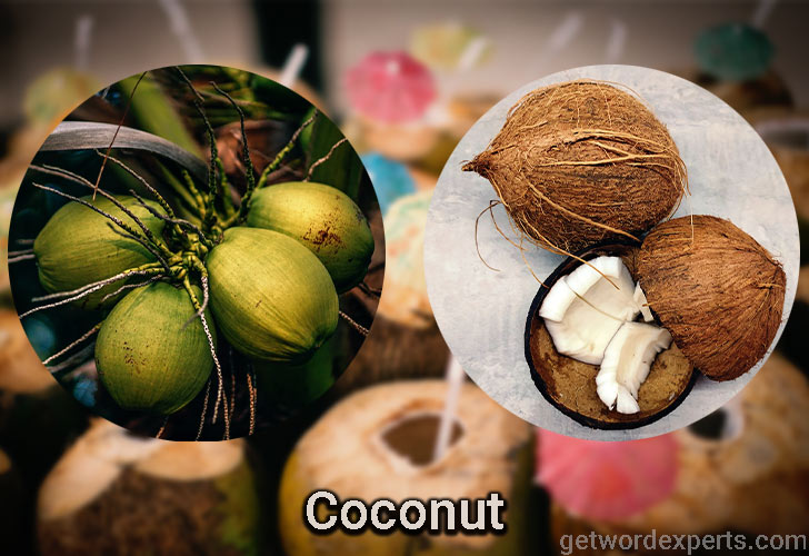 coconut