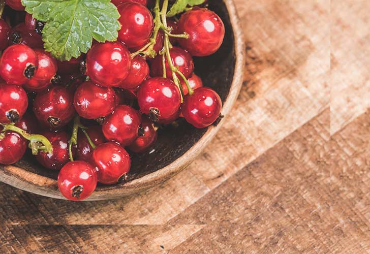 Red Currants on Bowl