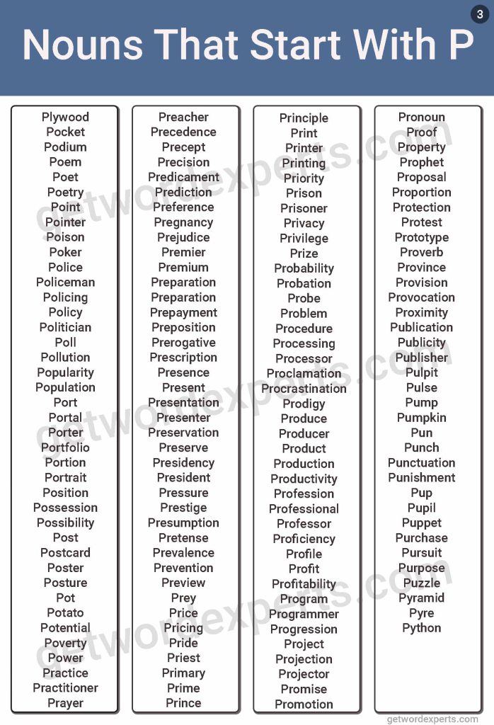 nouns that start with p-image 3