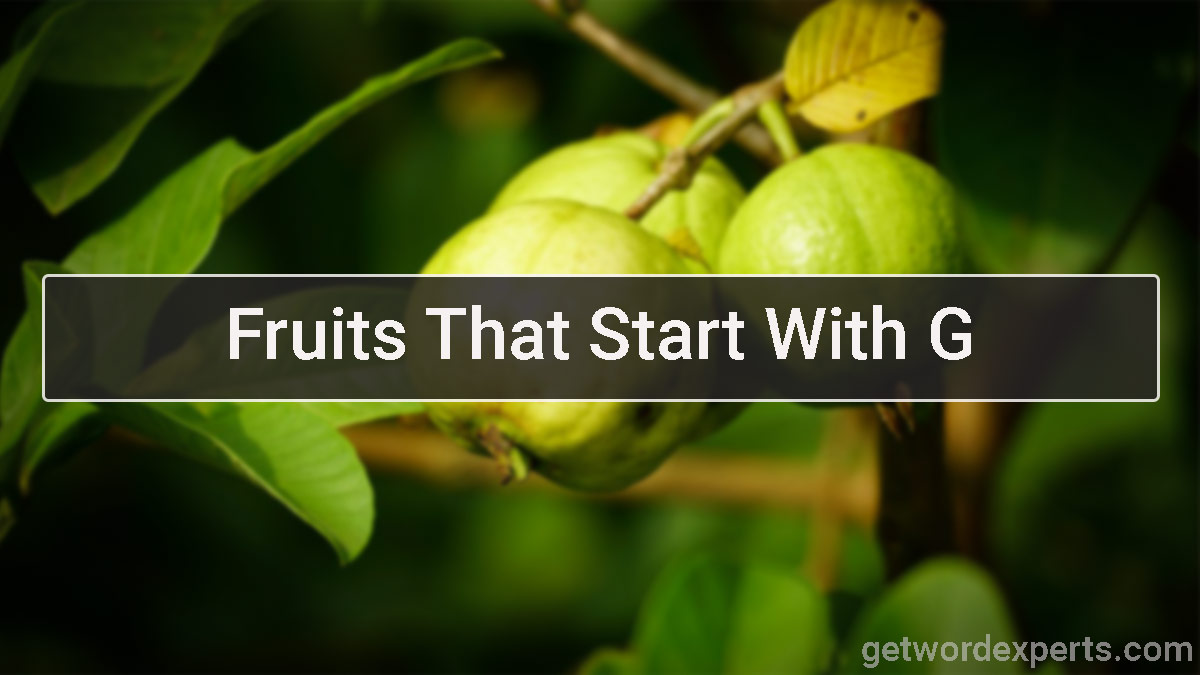 fruits that start with g