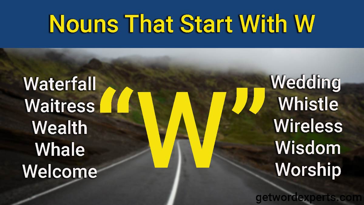 nouns that start with w