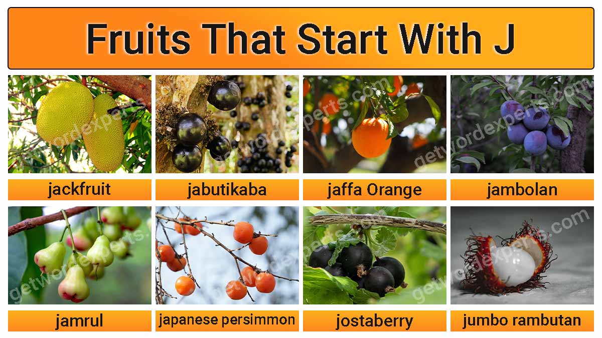 fruits that start with j