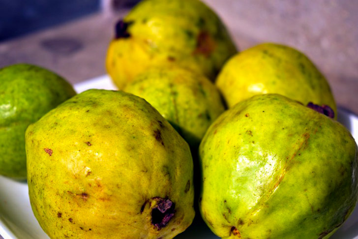 jui- indian guava